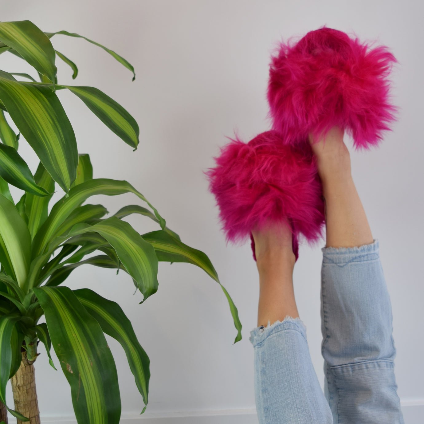 Suri Alpaca Slipper Fuchsia